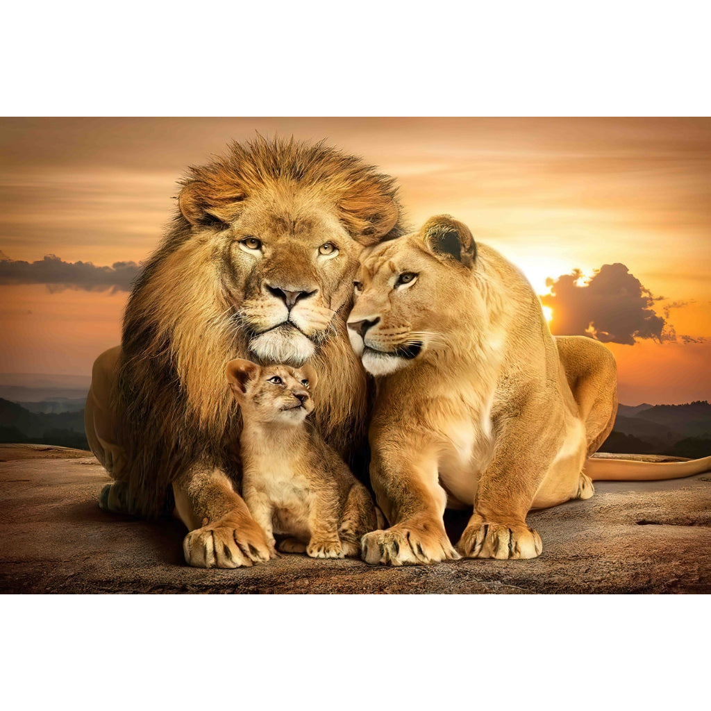 Quadro decorativo leão 90x60cm. foto em alta resolução em tecido sintético de alta qualidade.