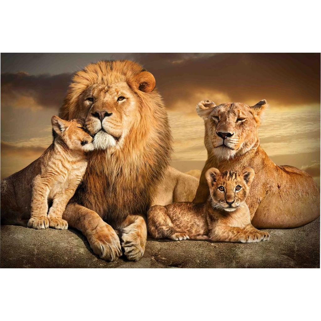 Quadro decorativo filhotes de leão.