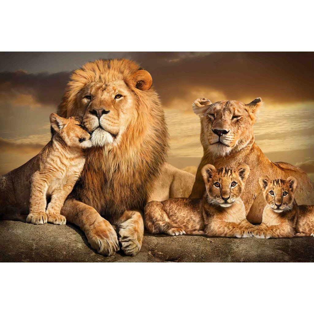 Quadro decorativo filhotes de leão.