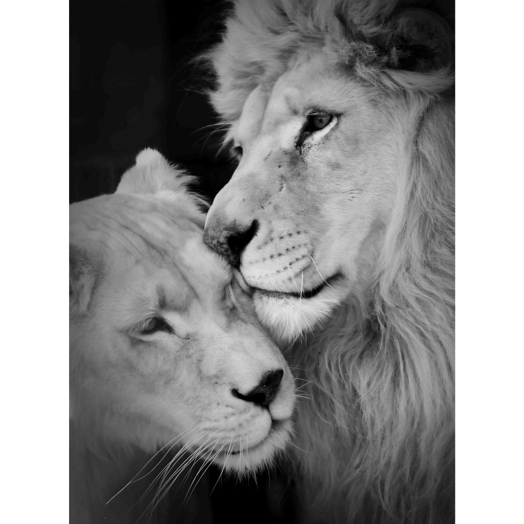 Quadro decorativo leão 90x60cm. foto em alta resolução em tecido sintético de alta qualidade.