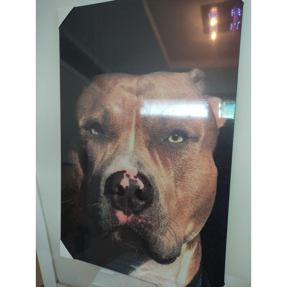 Quadro Decorativo PERSONALIZADO SUA FOTO, Envio em tela grande 90X60CM  Não é adsivo, material sintetico.