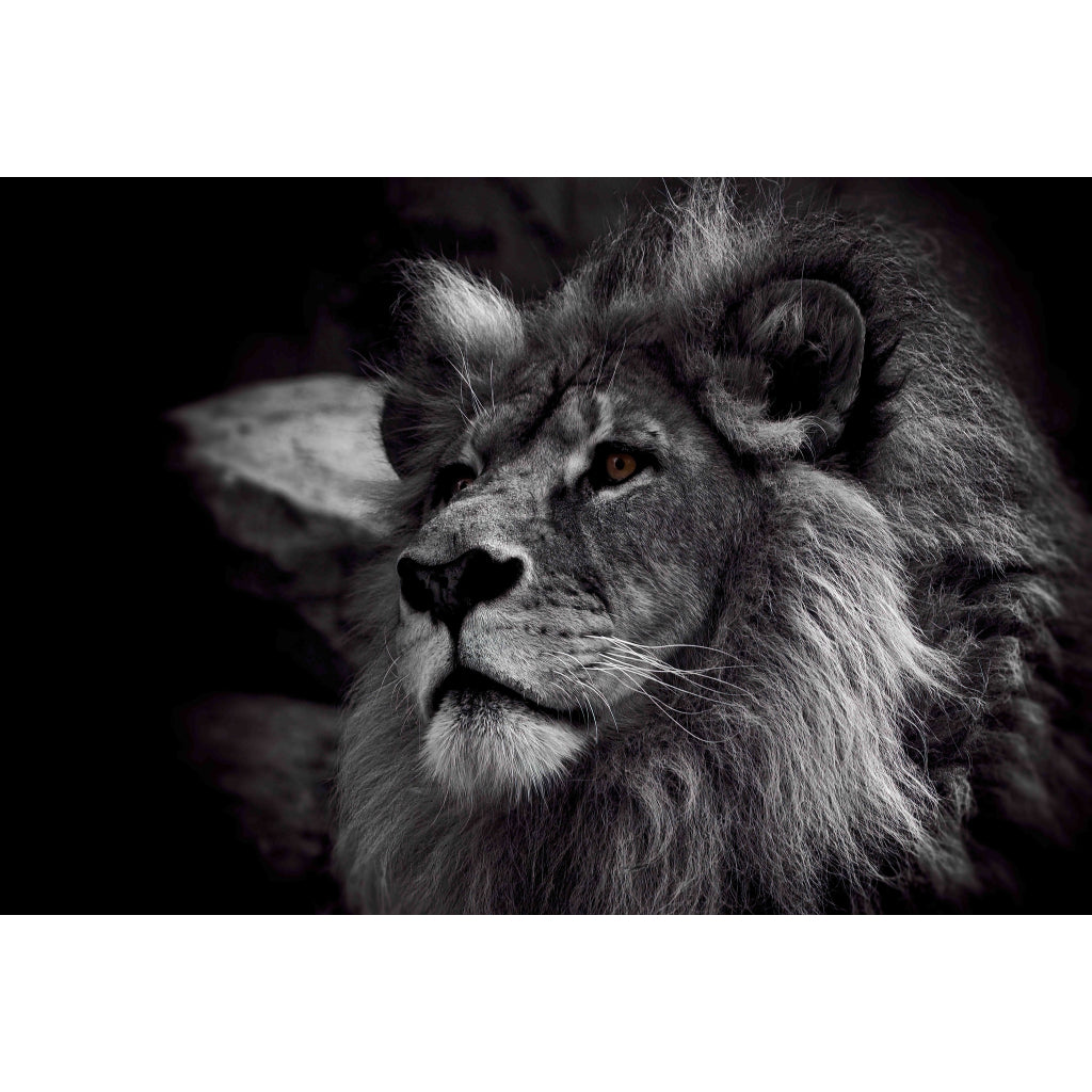 Quadro decorativo leão 90x60cm. foto em alta resolução em tecido sintético de alta qualidade.