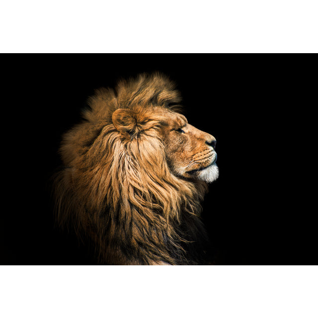 Quadro decorativo 90X60CM Religião Jesus Cristo e leão de Judá quarto sala coroa de espinhos