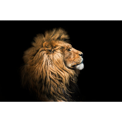 Quadro decorativo 90X60CM Religião Jesus Cristo e leão de Judá quarto sala coroa de espinhos