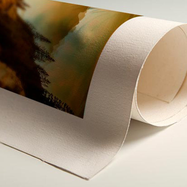 Impressão em tecido canvas 101x51 5 unidades