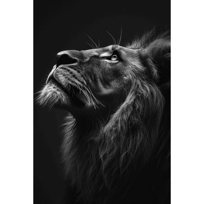 Quadro decorativo  família de leão Religião Jesus Cristo e leão de Judá quarto sala coroa de espinhos, quadro leão